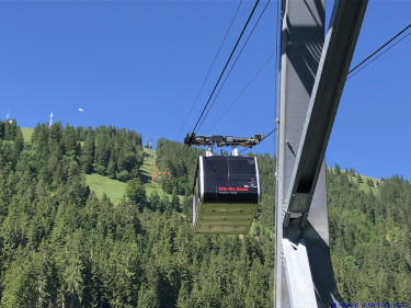 KAC Gaissau Kräuterwanderung 2019 06 29 17 03 00  4762